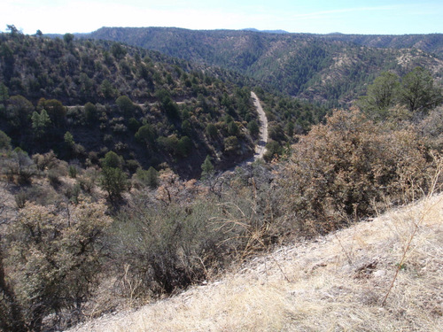 Our back trail, 1 hour later.